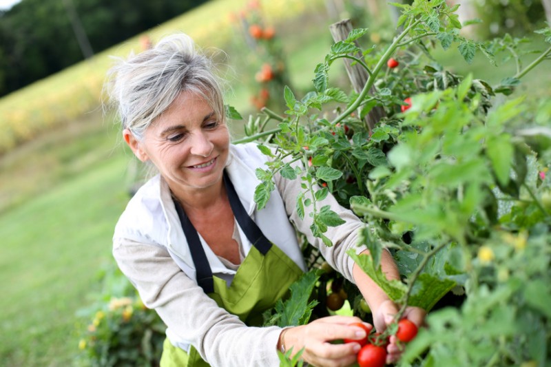 Résidence sénior avec potager partagé, verger. Appartement avec jardin pour retraités